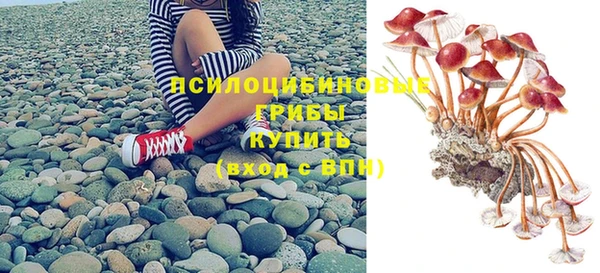 первитин Козельск