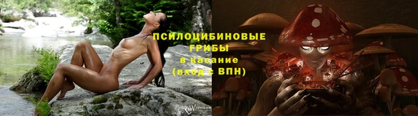 первитин Козельск