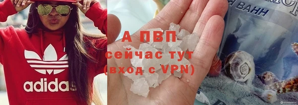 гидропоника Козловка