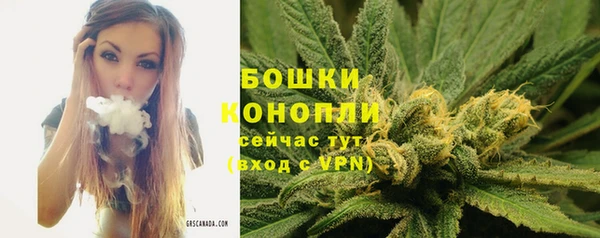 гидропоника Козловка