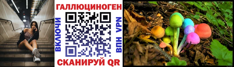 Галлюциногенные грибы Magic Shrooms  сайты даркнета официальный сайт  Яхрома 