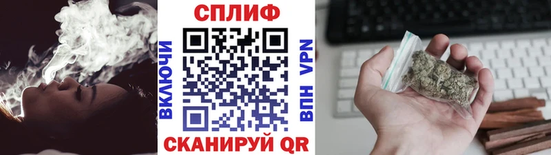 Бошки Шишки план  Яхрома 